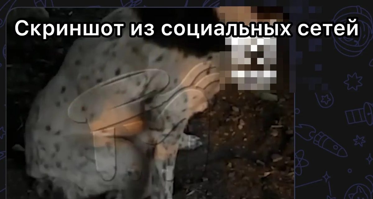Жители Симферополя сообщили, что водитель специально переехал собаку, полиция проверяет
