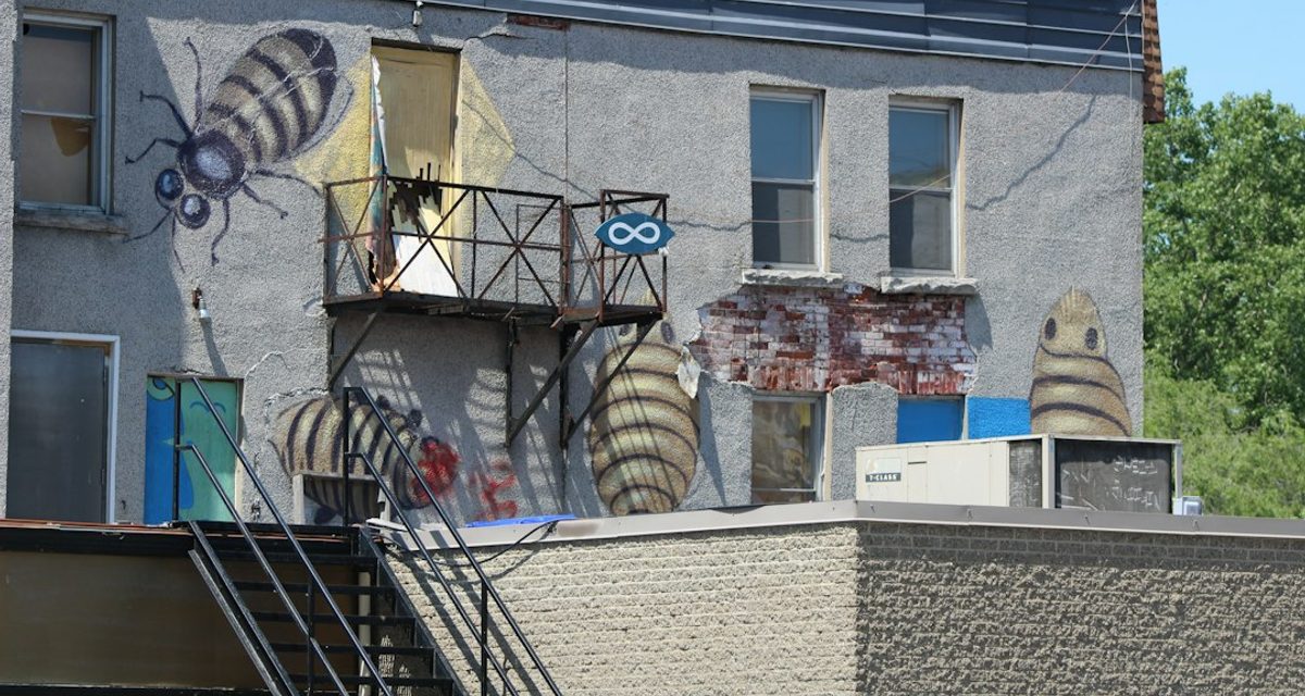 Горожане уносят домой арт-пчёл, которые с 2018 года живут на улицах Симферополя